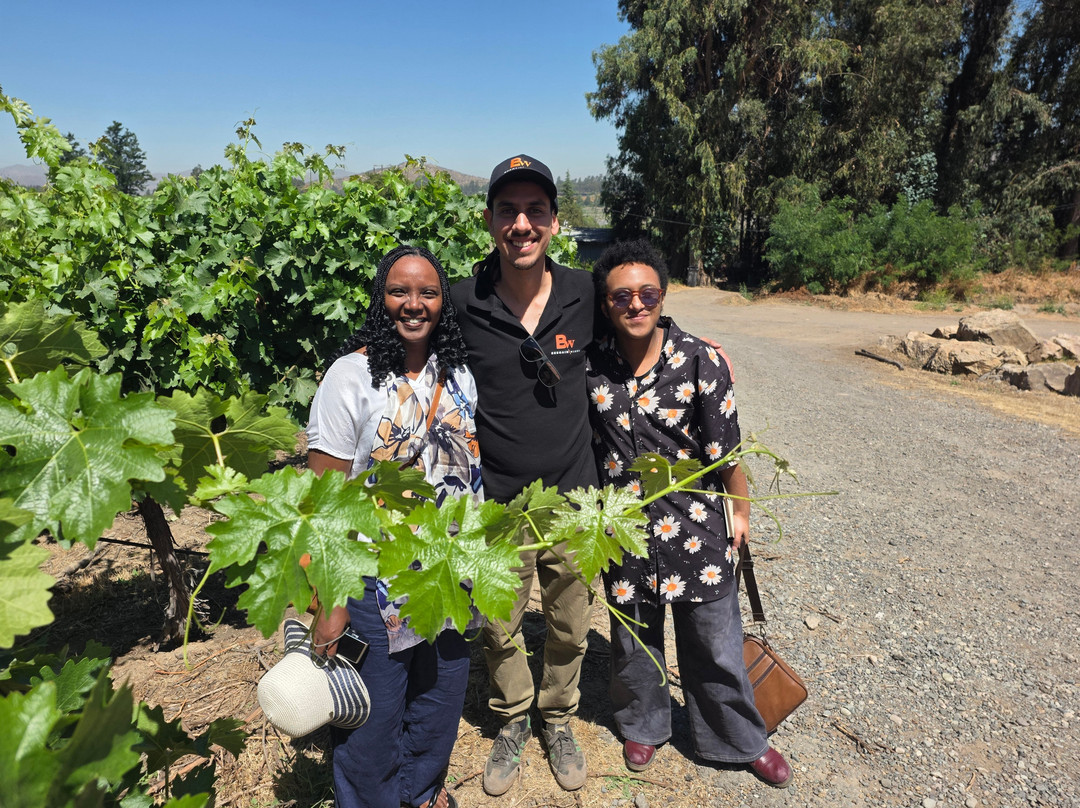 Besoain Wines-Pirque必去景点