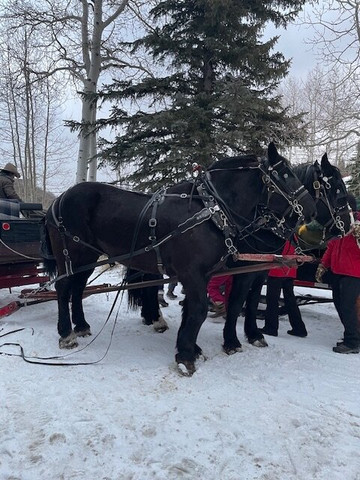 Boulder Mountain Ranch at Deer Valley-帕克城必去景点