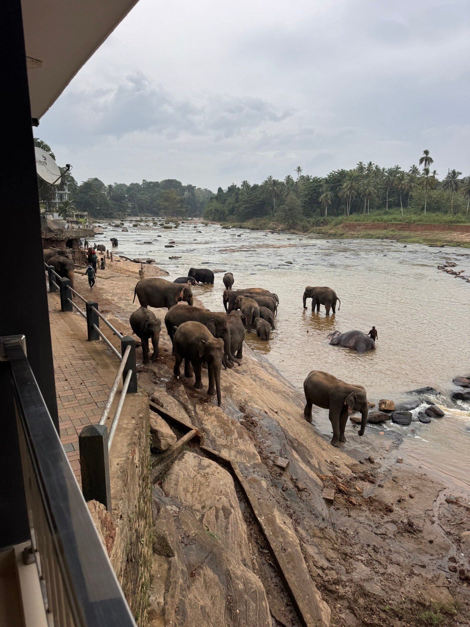 Hotel Pinnalanda-官方