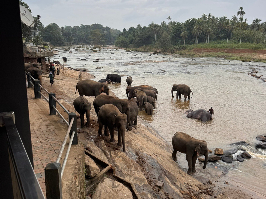 Hotel Pinnalanda主图