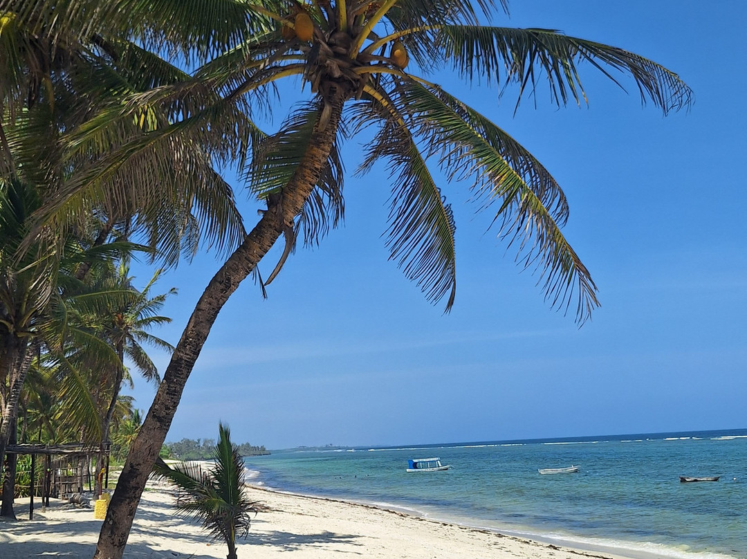 Aventure Safaris-蒙巴萨必去景点