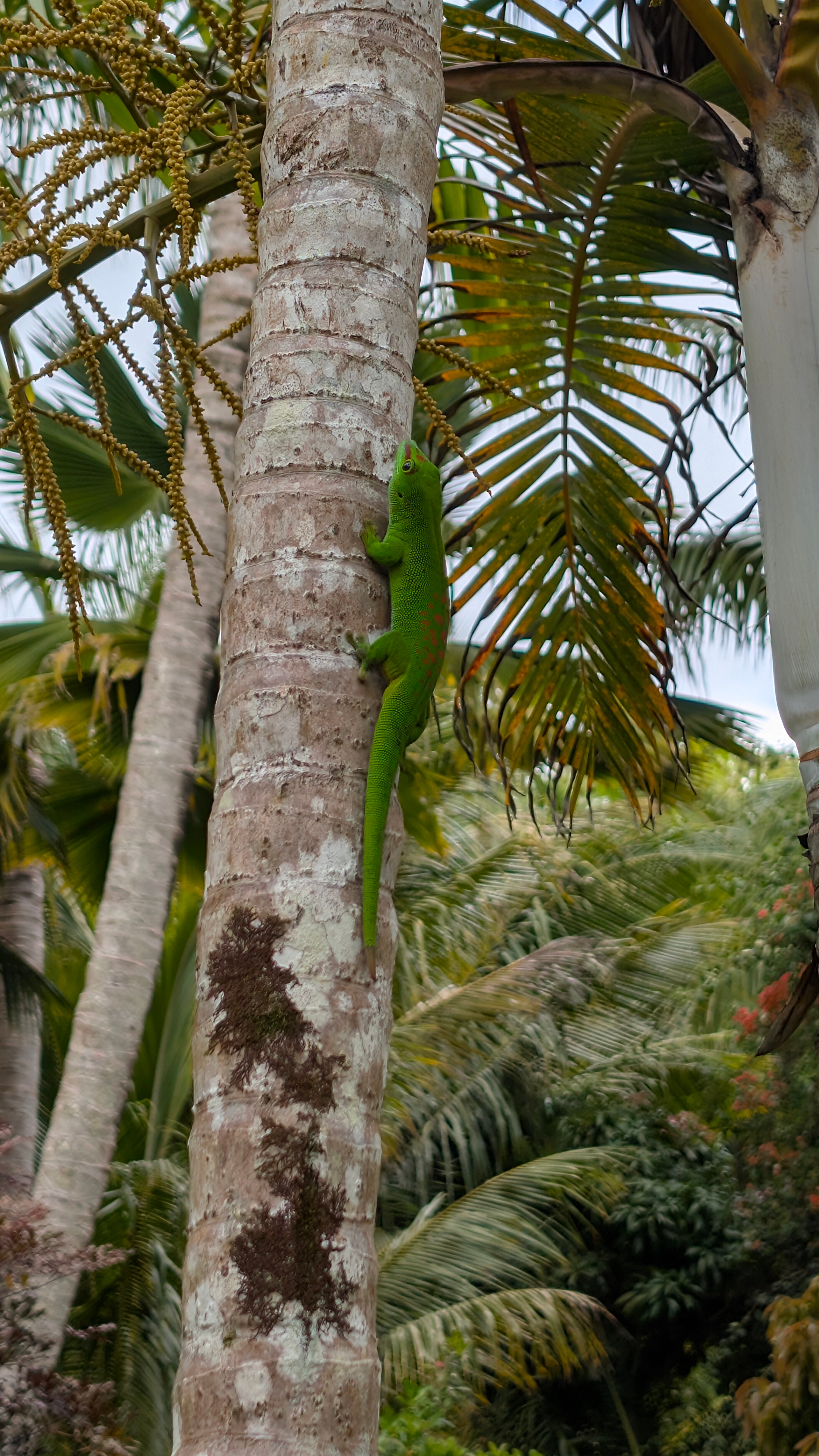 哈马独家洛奇酒店-浴室