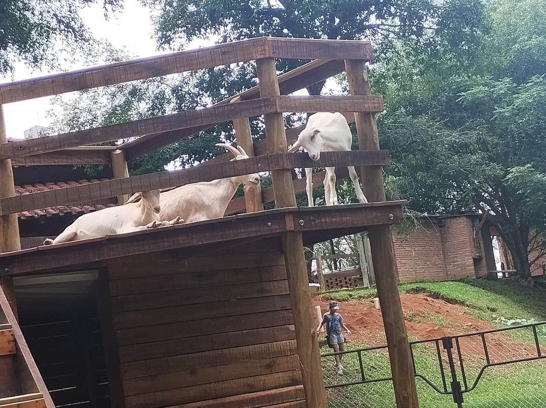 Hotel Fazenda Sete Lagos主图