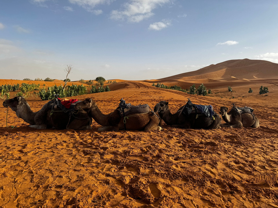 Mountain Desert Tours-马拉喀什必去景点