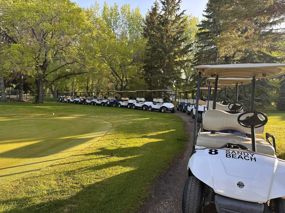 Sandy Beach Regional Park-劳埃德明斯特必去景点