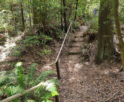 Arthur River Cruises-Arthur River必去景点