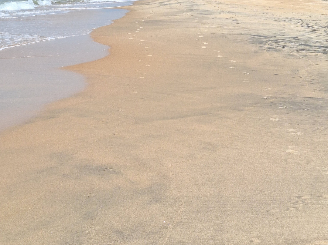 Hansali Reisen-加勒必去景点