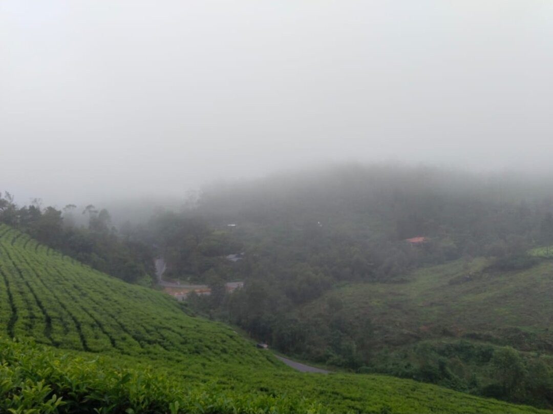 The Wind Munnar主图