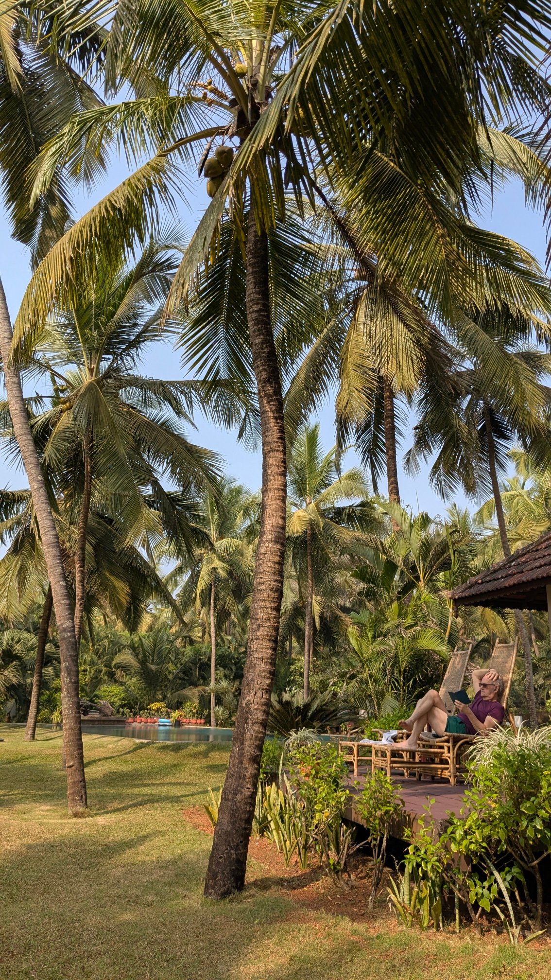 卡纳海滨度假酒店-官方
