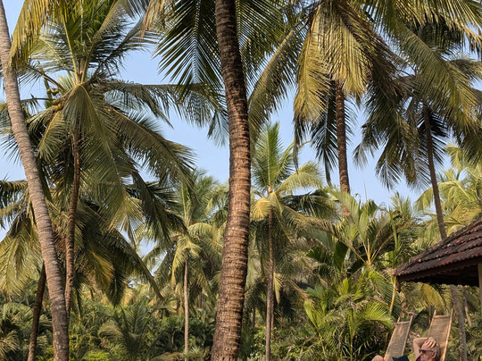 卡纳海滨度假酒店主图