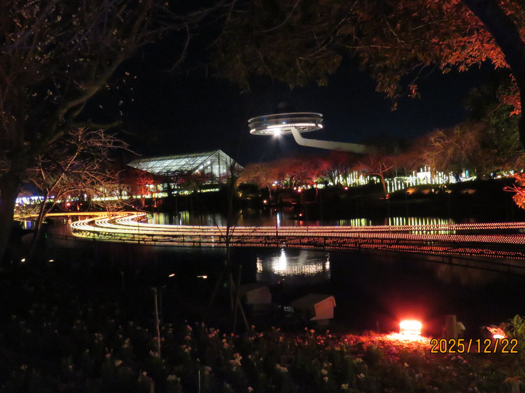 名花之乡-桑名市必去景点