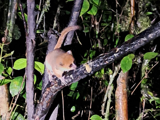 Jean Be Tours-安塔那那利佛必去景点