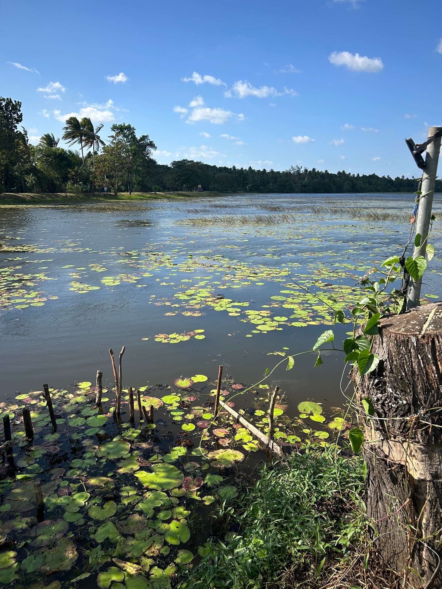 The Notary's House-官方