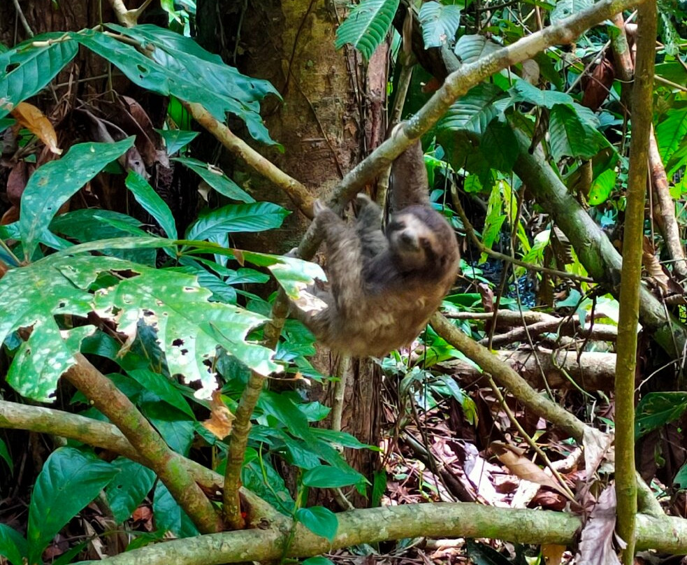 Manuel Tour Guide-卡维塔必去景点