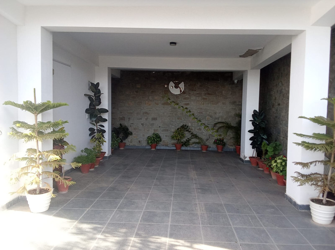 The Cerro Rico