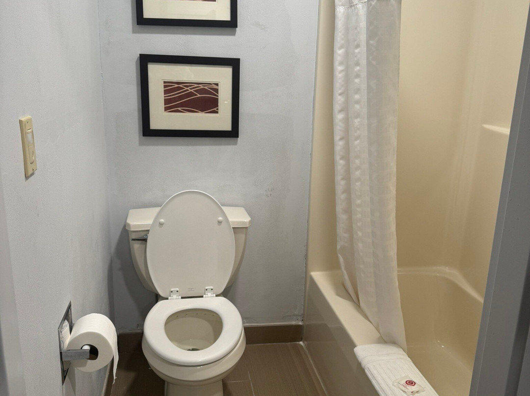 Comfort Inn Lancaster County主图