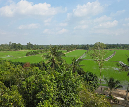 MekongEcoTravel-芹苴必去景点