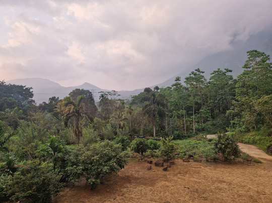 Palabaddala Tea And Eco Lodge
