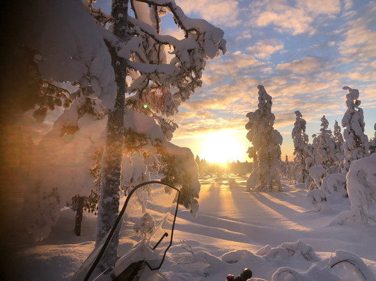 Snow Fun Safaris Lapland-Akaslompolo必去景点
