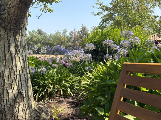 Vina Aquitania-圣地亚哥必去景点