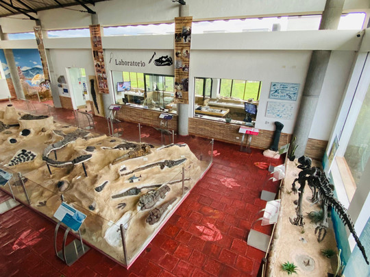 Centro de Investigaciones Paleontologicas - CIP-莱瓦镇必去景点