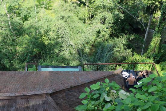 巴龙蝴蝶度假村主图