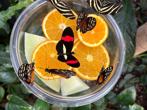 Canadian Museum Of Nature-渥太华必去景点