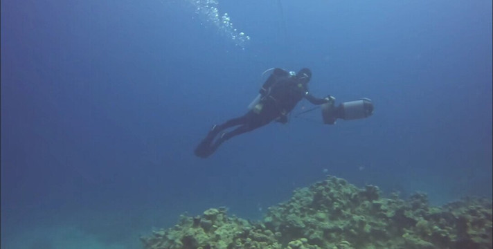 Aquarius Diving Club-马卡迪湾必去景点