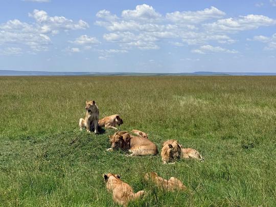 African Quest Safaris-蒙巴萨必去景点
