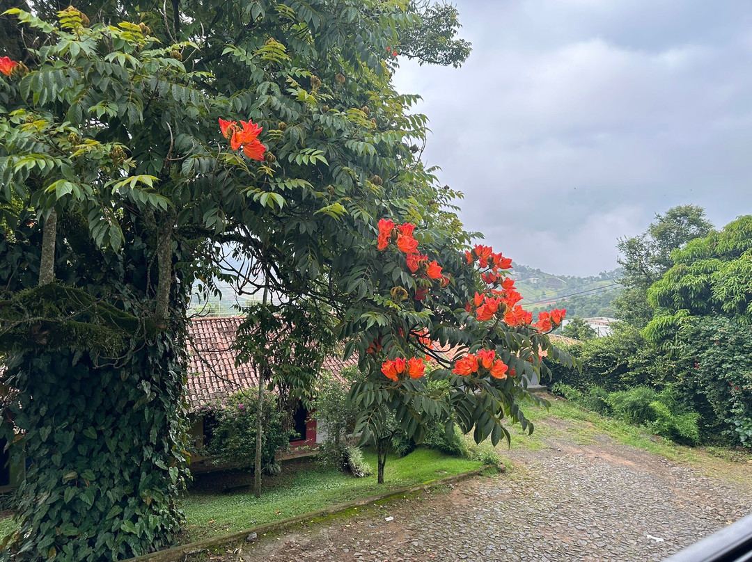 阿空奇果德米纳斯酒店主图