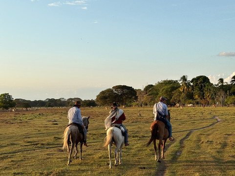 Reserva Natural Hato El Boral-San Luis de Palenque必去景点