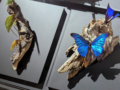 Gasometer Pforzheim-普福尔茨海姆必去景点