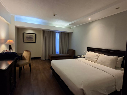 撒恩缇卡斯瑞博恩酒店主图