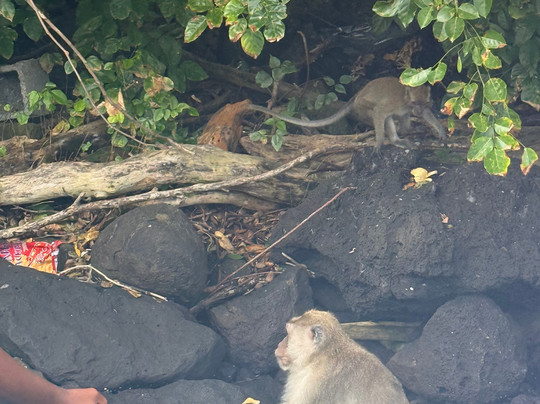 Hope Speedboat Mauritius Tours-卓得多斯必去景点