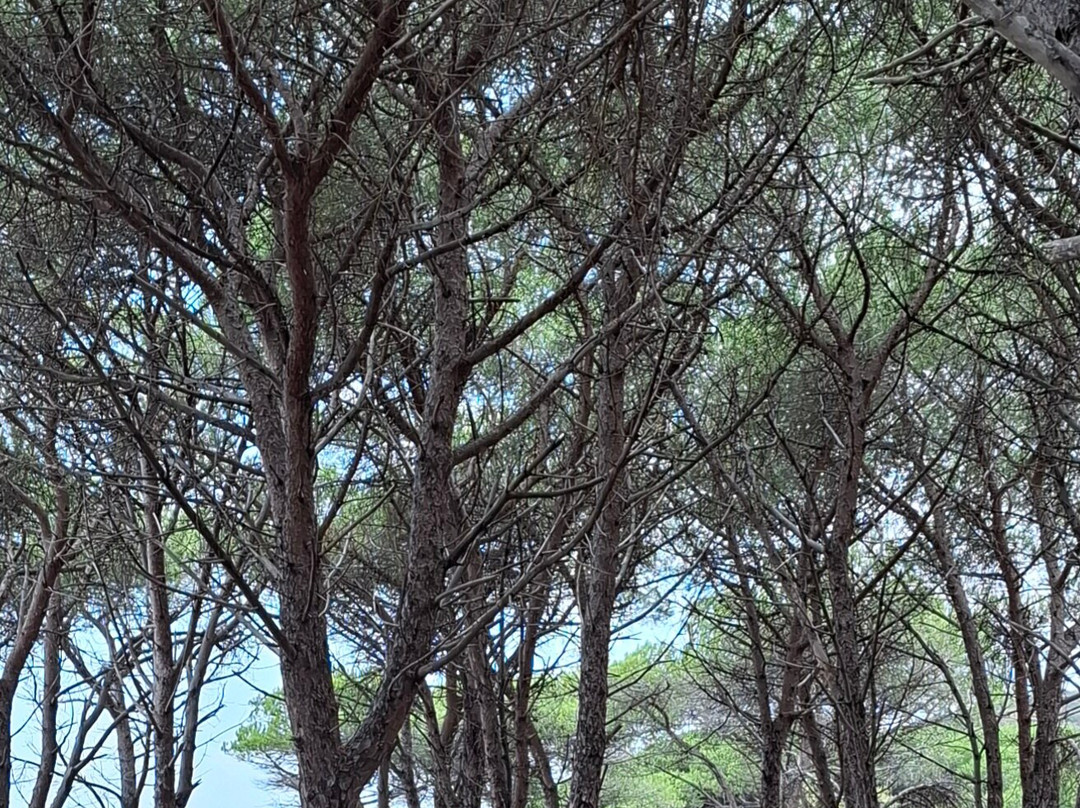 Spiaggia di Matta e Peru-Budoni必去景点