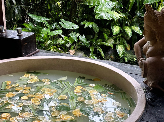 Kaveri Spa at The Udaya-乌布必去景点