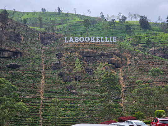 Scenic Ceylon Tours-Polgahawela必去景点