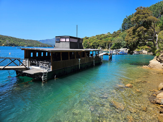 Lochmara  Marlborough Sounds-皮克顿必去景点