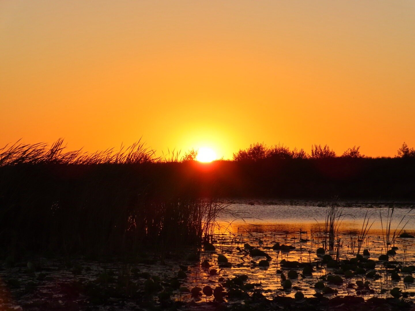 弗努尔瑞小屋旅馆-官方