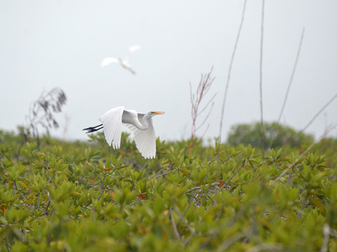 Visit Sian Ka'an-图伦必去景点