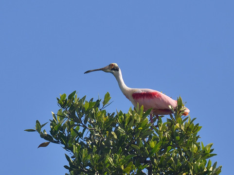 Visit Sian Ka'an-图伦必去景点