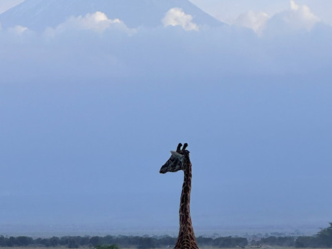Afrikan Accent Adventures-内罗毕必去景点