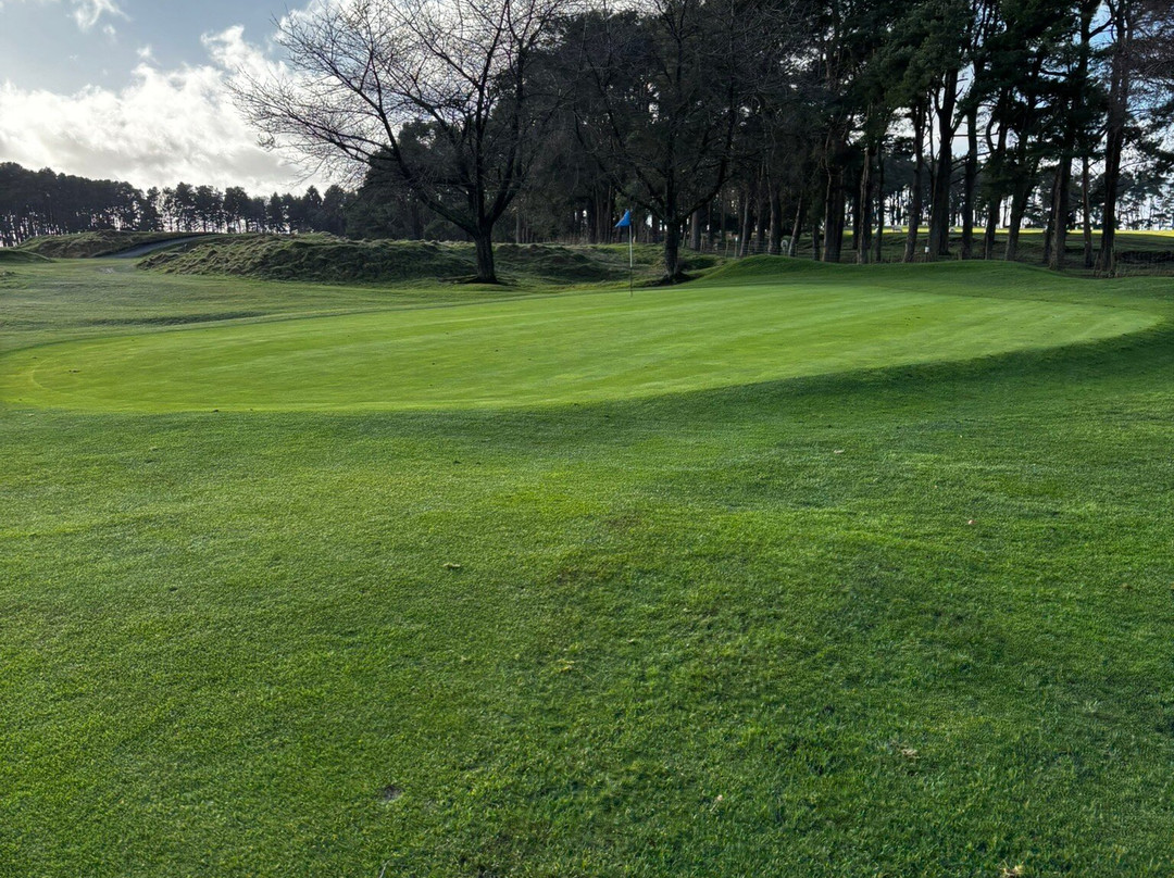 Royal Curragh Golf Club-The Curragh必去景点