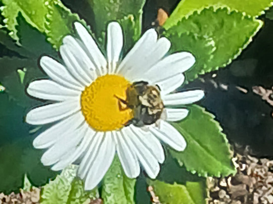 Waterfront Park-伯灵顿必去景点