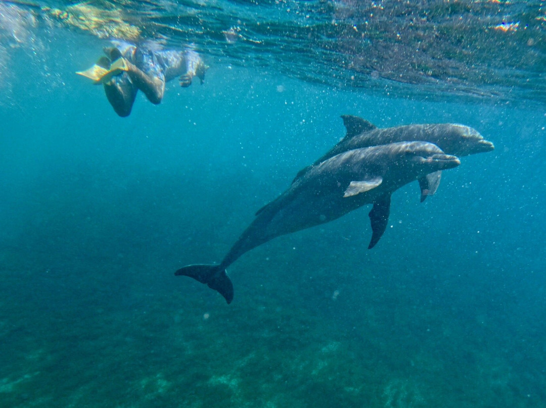 Big Beard's Adventure Tours-Christiansted必去景点