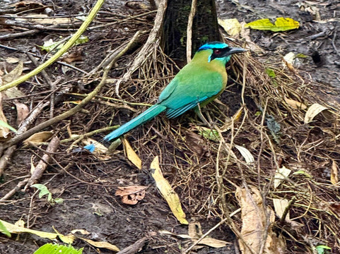 Alex On The Beach Tours-萨迪纳尔必去景点