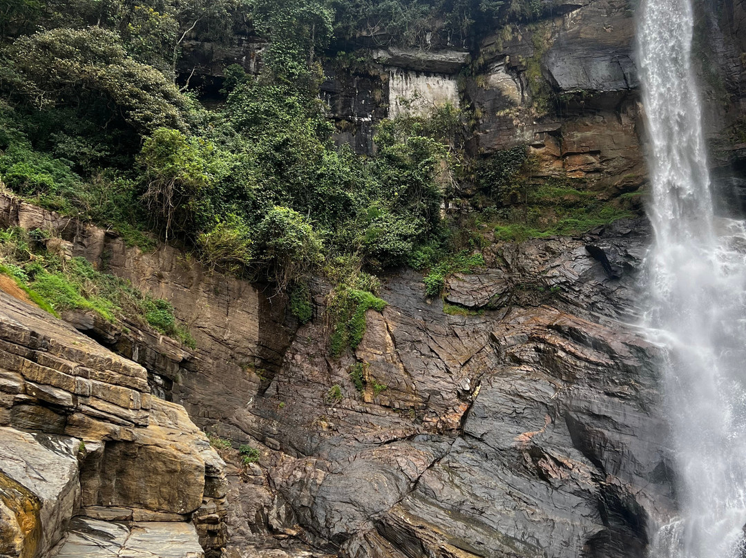 Andrews Eco Tours and Taxi-奴娃拉伊利雅必去景点