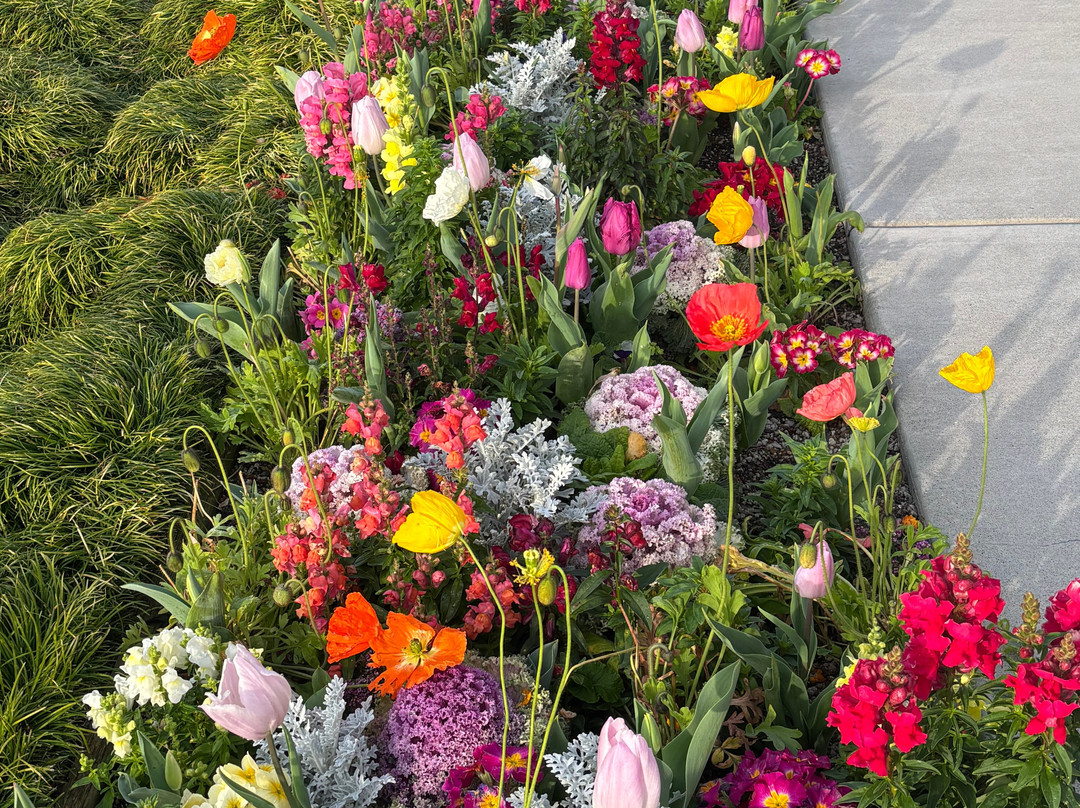 Oakland Temple Visitors' Center-奥克兰必去景点