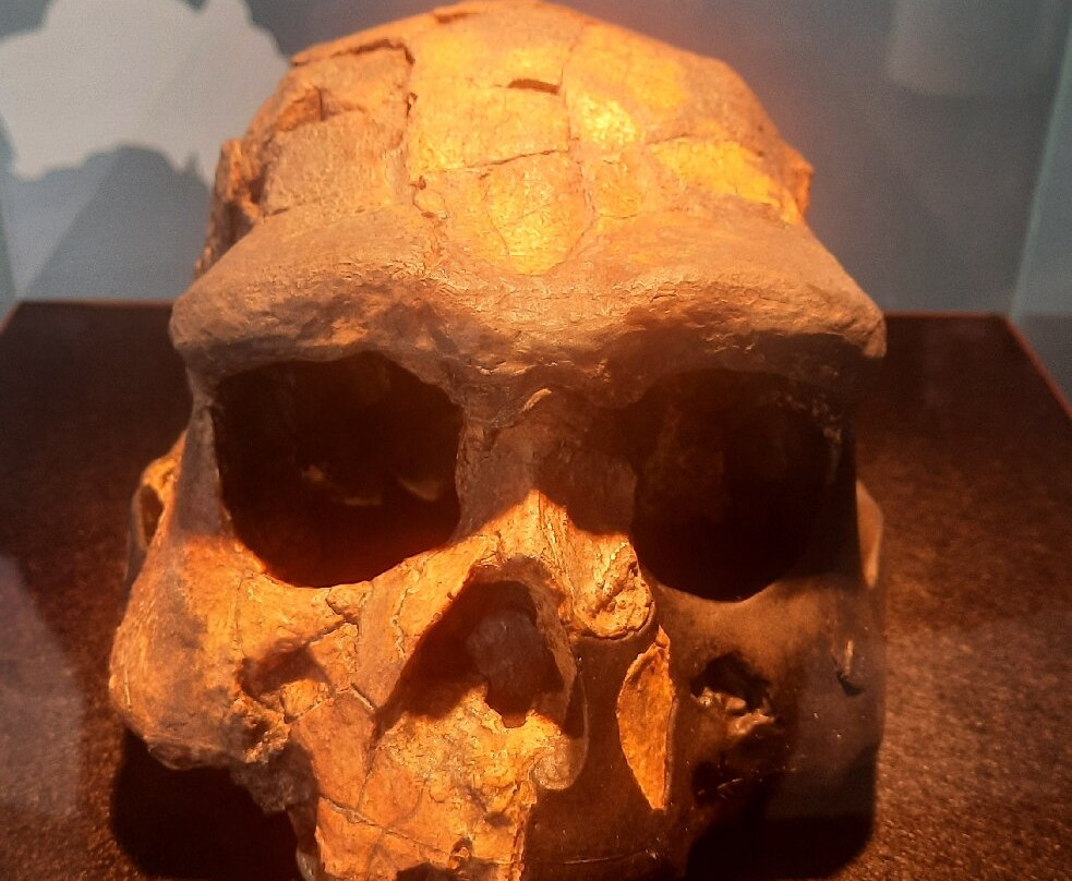 Mae - Museo Archeologico Ernico-Anagni必去景点