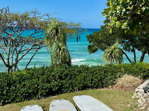 Boosy's Surf School-基督城必去景点